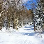 Tannenblick 7-4 Oberhof (Thuringia)