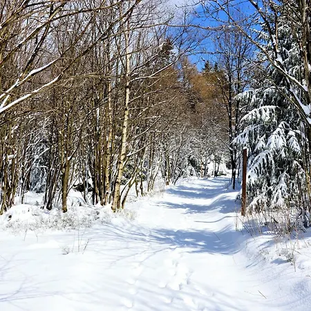 Tannenblick 7-4 Oberhof (Thuringia)