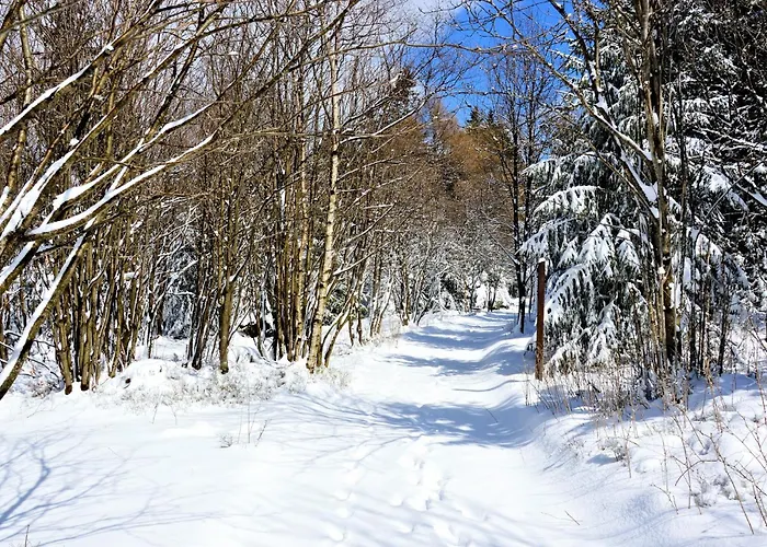 아파트 Tannenblick 7-4 *